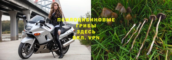 кокаин премиум Бородино