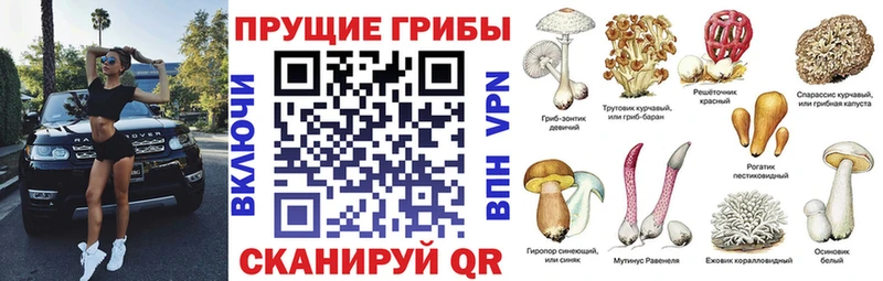 Галлюциногенные грибы Cubensis  Купить  Мантурово 